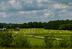 Neo Rally Žemaitija, GR 4-6