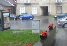 Liūtis Užupyje, Žilvino nuotr.