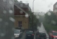 Liūtis Užupyje, skaitytojo Žilvino nuotr.