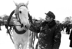 Sartai (1956)