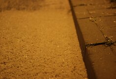 La&scaron;alai (vabzdžių lietus) Vilniuje, prie Žvėryno