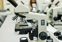 VDU Gamtos mokslų fakulteto laboratorijos
