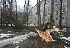 Audra Klaipėdoje