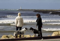 Kalifornijos pakrantė deramai sutiko cunamį