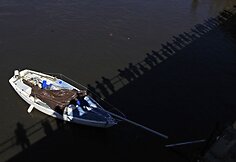 Kalifornijos pakrantė deramai sutiko cunamį