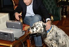 Rusijos prezidento Dmitrijaus Medvedevo augintiniai 