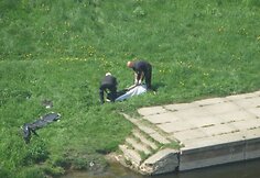 Vilniuje, prie Žvėryno tilto, ištrauktas skenduolis