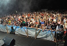 Pirmasis festivalis &bdquo;Naisių vasara&ldquo; (2010)
