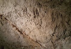 Demanovo slėnio stalagmitų ir stalaktitų Laisvės urvas