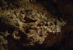 Demanovo slėnio stalagmitų ir stalaktitų Laisvės urvas