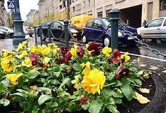 Penktadienio spūstis Vilniuje, Gedimino pr.