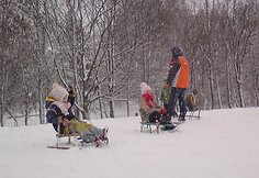 Su rogutėm nuo kalniuko