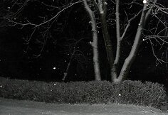 Skaitytojų nuotraukos: sniegas Kelmės rajone