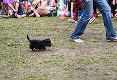 Festivalio &bdquo;Galapagai&ldquo; akimirka