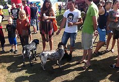 Festivalio &bdquo;Galapagai&ldquo; akimirka