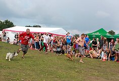 Festivalio &bdquo;Galapagai&ldquo; akimirka