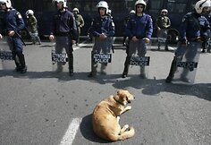 Protesto akcija Pirėjaus uoste 2009 m. kovo 4 d.