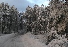 Žiema užgriuvo Kur&scaron;ių neriją.