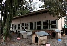 &Scaron;uni&scaron;ka favela įsikūrusi 1,2 ha plote.