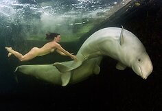 Natalijos Avsejenko pasiplaukiojimas su baltaisiais delfinais