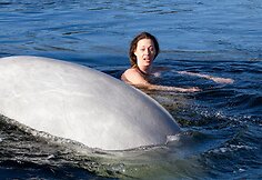 Natalijos Avsejenko pasiplaukiojimas su baltaisiais delfinais