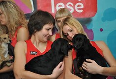 Krep&scaron;ininkių vie&scaron;nagė &bdquo;Lesės&ldquo; prieglaudoje