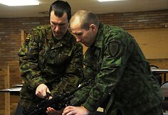 Lietuvos kariai Vokietijoje tobulino įgūdžius