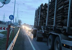 Avarijos vietoje Panevėžio rajone