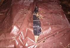 Kontrabandinės cigaretės