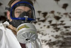 Intensyvūs renovacijos darbai