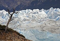 „Perito Moreno“ ledynas yra viena gražiausių Argentinos lankytinų vietų. Šio ledyno ilgis siekia 30 km