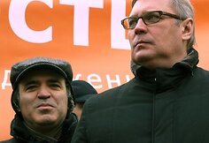 Protesto akcijai, kurioje dalyvavo maždaug 300 žmonių, Rusijos sostinės valdžia davė surengti leidimą, ir renginys vyko be rimtų incidentų.
