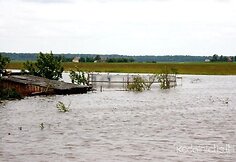  Kėdainių rajone siautėjęs lietus užtvindė namus Siponių kaime. 