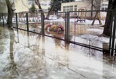 Žiemos ir pavasario kova