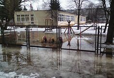 Žiemos ir pavasario kova