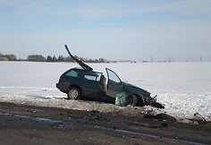 Dviejų VW kaktomu&scaron;a