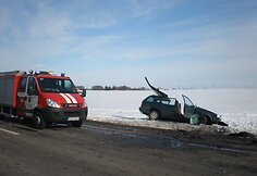 Dviejų VW kaktomu&scaron;a