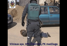 Sulaikymo epizodai
