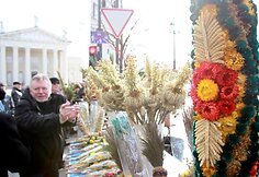 Verbų sekmadienis
