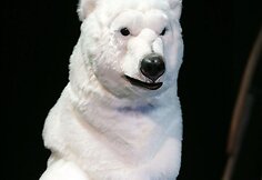 Me&scaron;ka