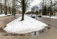 Vilniaus Minties gatvėje nuo &scaron;iol parkavimas mokamas &ndash; žalia zona