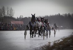 Dusetose vyksta tradicinės Sartų žirgų lenktynės.