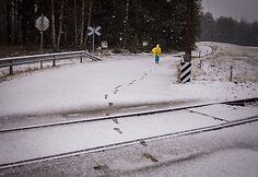 Kelionė per Auk&scaron;taitijos nacionalinio parko mi&scaron;kus ir pievas.