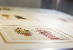 Valdovų rūmai pristatė aukcione įsigytą seniausią Vytauto Didžiojo ir jo žmonos atvaizdą.