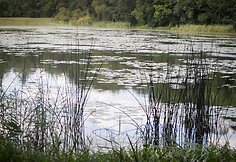 Jeruzalės tvenkinys &scaron;alia Santari&scaron;kių