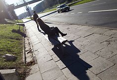 Autobusų ir troleibusų tenka laukti ant aplūžusių suoliukų.