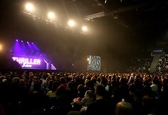 Akimirka i&scaron; miuziklo &bdquo;Thriller-Live&ldquo; 