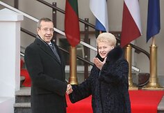 Dalia Grybauskaitė priėmė Estijos prezidentą Toomą Hendriką Ilvesą ir Latvijos prezidentą Valdį Zatlerį.