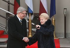 Dalia Grybauskaitė priėmė Estijos prezidentą Toomą Hendriką Ilvesą ir Latvijos prezidentą Valdį Zatlerį.