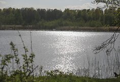 Kazimieravo kaime &ndash; neįprasta ugniagesių operacija.